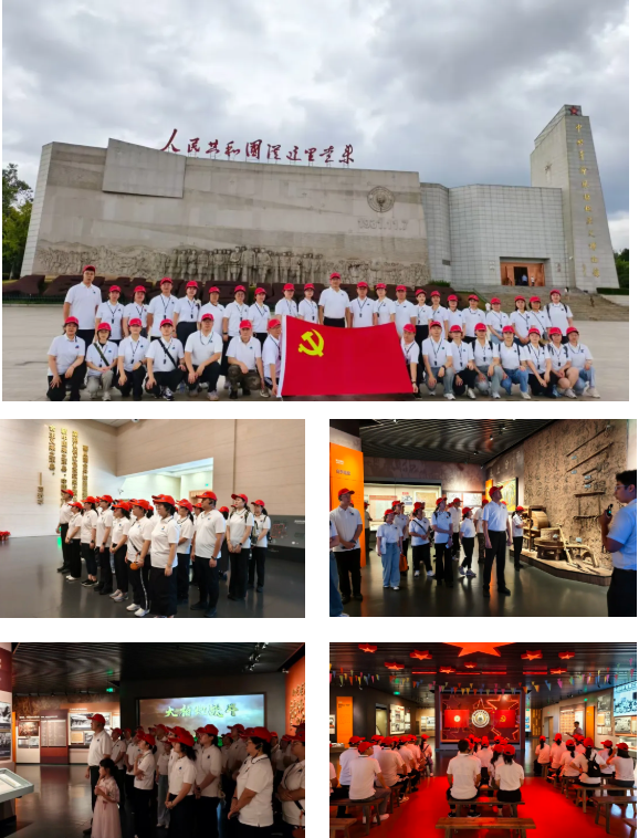 Z6·尊龙凯时「中国区」官方网站